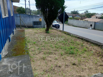 Image 41 - 1007436
