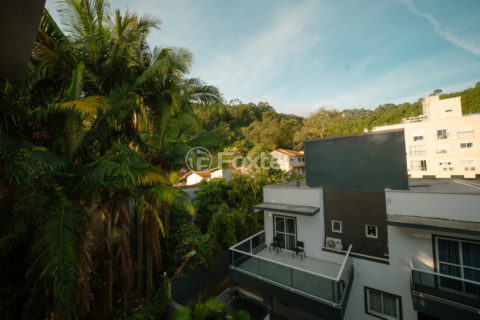 Image 2 - 1007786