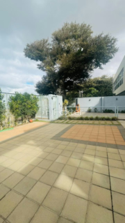 Image 29 - 1007944