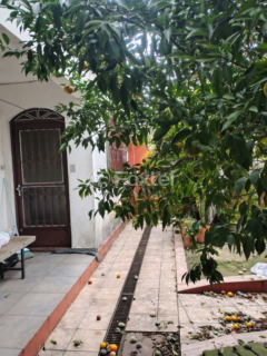 Image 2 - 1008171