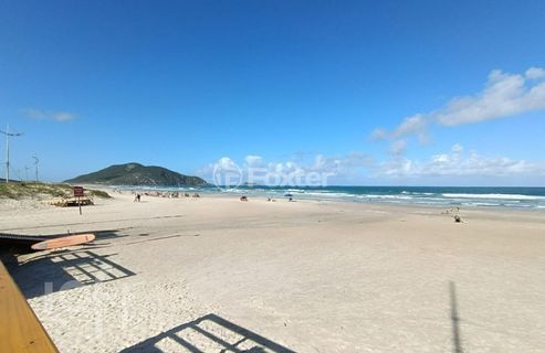 Image 15 - 1008335