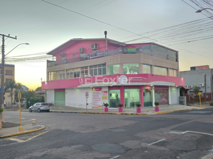 Image 16 - 1008966