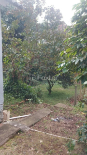 Image 6 - 1009121