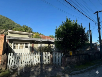 Image 2 - 1009788