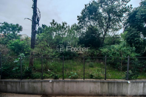 Image 11 - 1009793