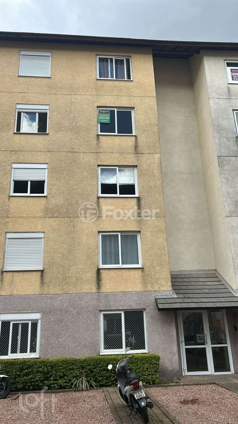 Image 8 - 1010026