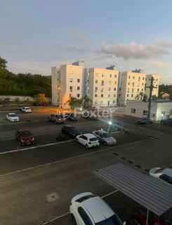Image 11 - 1010031