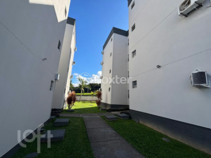 Image 8 - 1010038