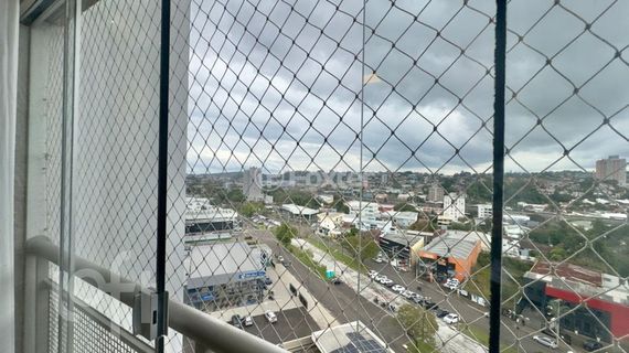 Image 6 - 1010099