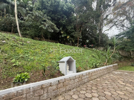 Image 11 - 1010161