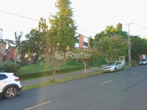 Image 7 - 1010182