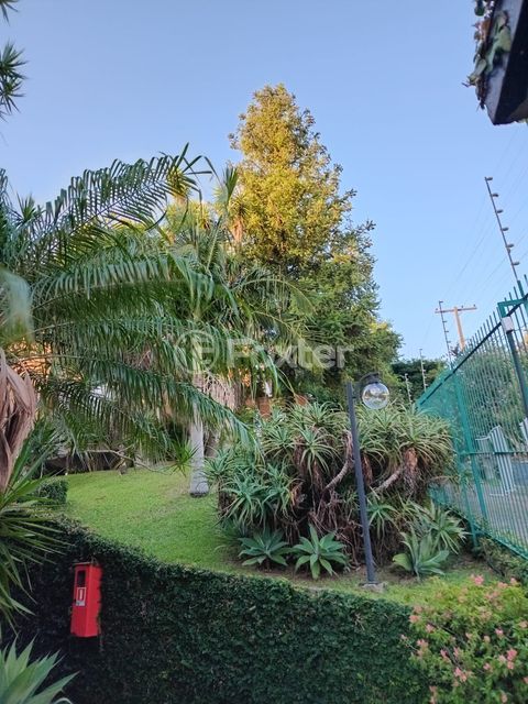 Image 10 - 1010182