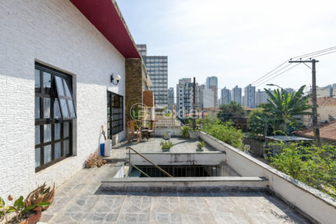 Image 31 - 1010331