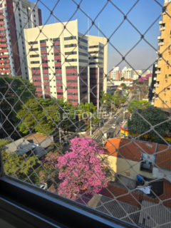 Image 16 - 1010743