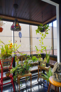 Image 6 - 1011121