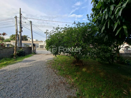 Image 2 - 1011455