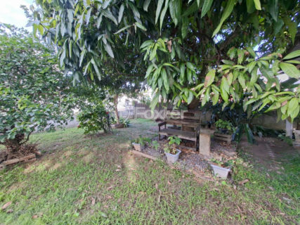 Image 5 - 1011455