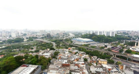 Image 12 - 1011850