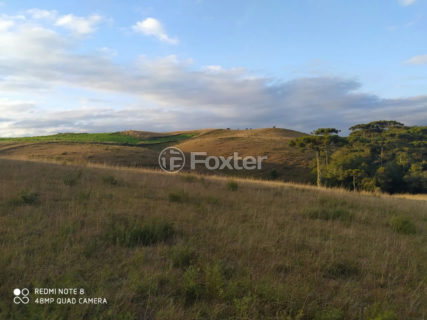 Image 16 - 1012279