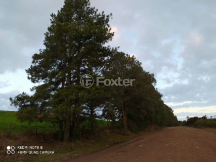 Image 9 - 1012279