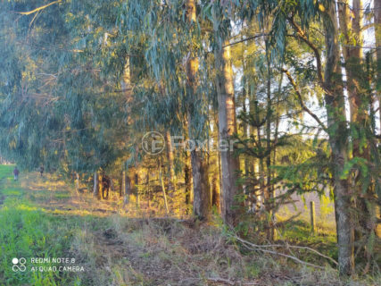 Image 14 - 1012279
