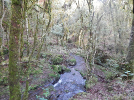 Image 5 - 1012279