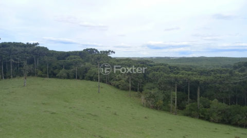 Image 2 - 1012279