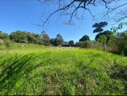 Image 3 - 1012335