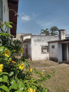 Image 2 - 1012447
