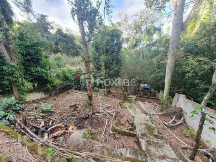 Image 27 - 1012713