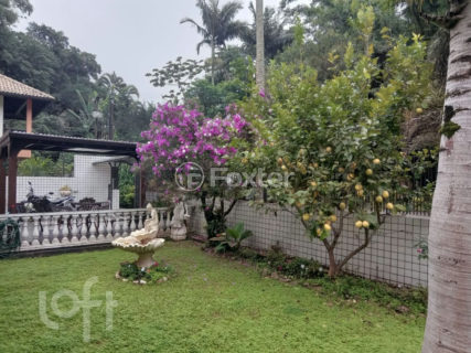 Image 8 - 1012940