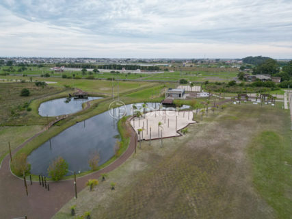 Image 6 - 1013035