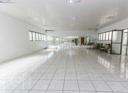 Image 37 - 1013282
