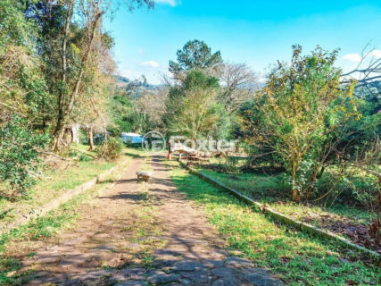 Image 37 - 1013533