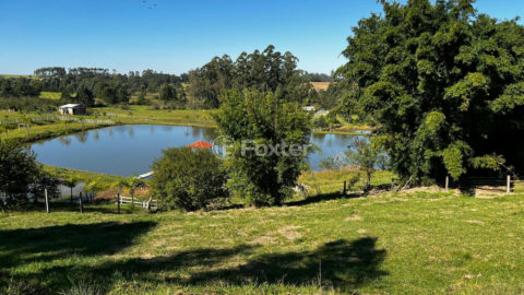 Image 3 - 1013706