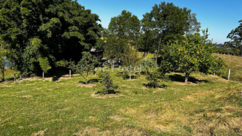 Image 4 - 1013706