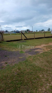 Image 6 - 1013838
