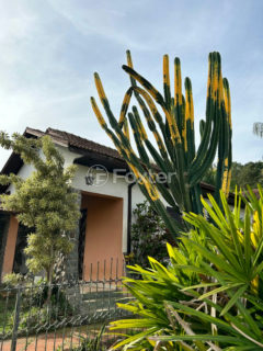 Image 2 - 1013894