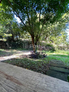 Image 4 - 1013894