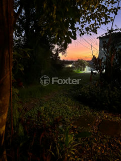 Image 3 - 1013894