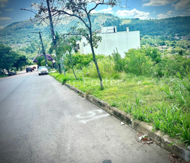 Image 4 - 1014044
