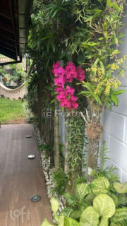 Image 42 - 1014157