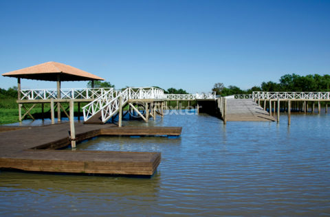 Image 3 - 1014721