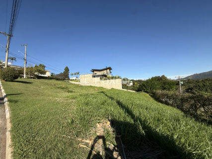 Image 8 - 1015615