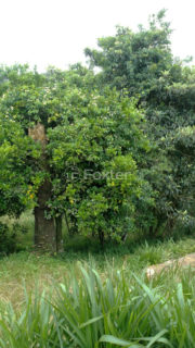 Image 2 - 1015912