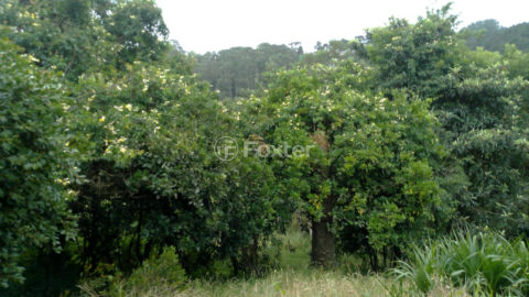 Image 3 - 1015912