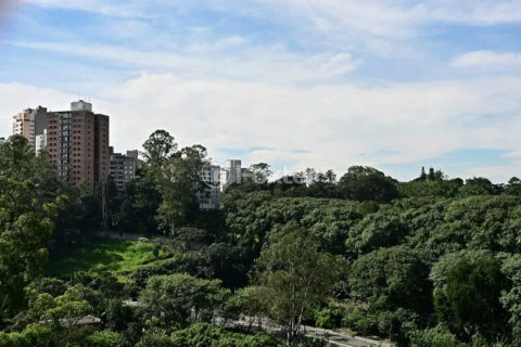 Image 0 - 1015949