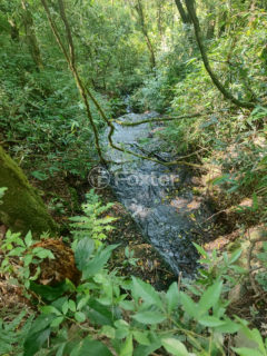 Image 0 - 1015966