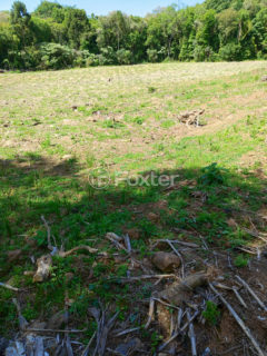 Image 1 - 1015966