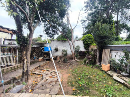 Image 33 - 1016134